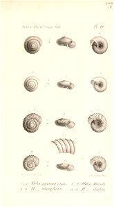 n528_w1150
