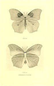 n236_w1150
