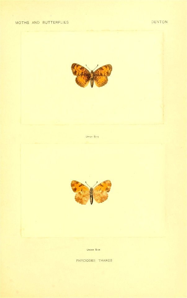 n180_w1150