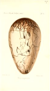 n496_w1150