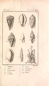 n412_w1150