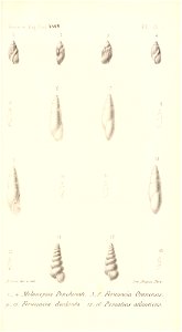 n514_w1150