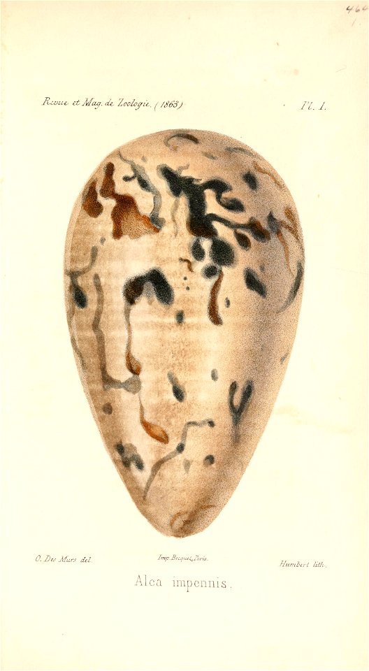 n494_w1150