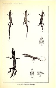 n304_w1150