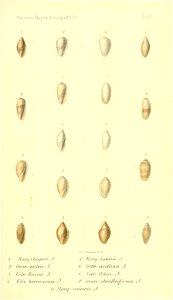n532_w1150