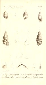 n518_w1150
