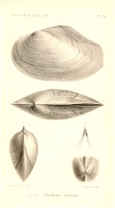 n468_w1150