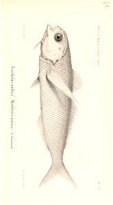 n522_w1150