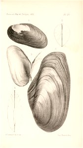 n558_w1150