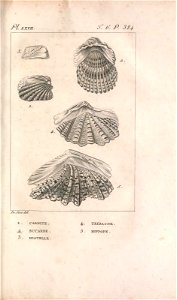 n406_w1150