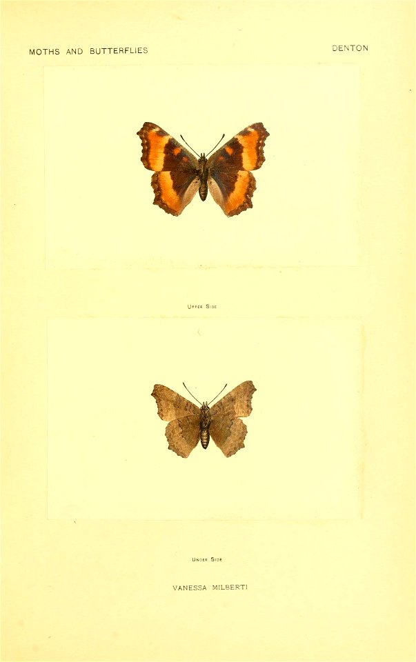 n160_w1150