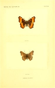 n160_w1150