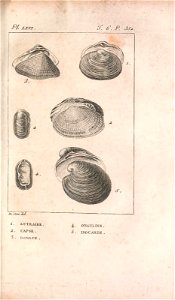 n372_w1150