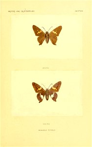n36_w1150