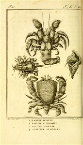 n571_w1150