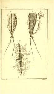 n882_w1150