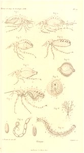 n506_w1150