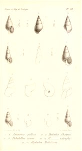 n508_w1150