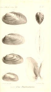 n462_w1150