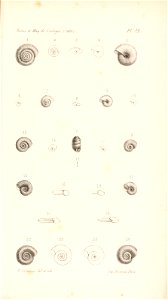 n552_w1150