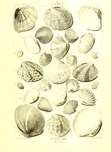 n198_w1150