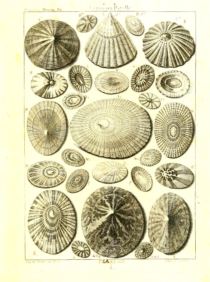 n14_w1150
