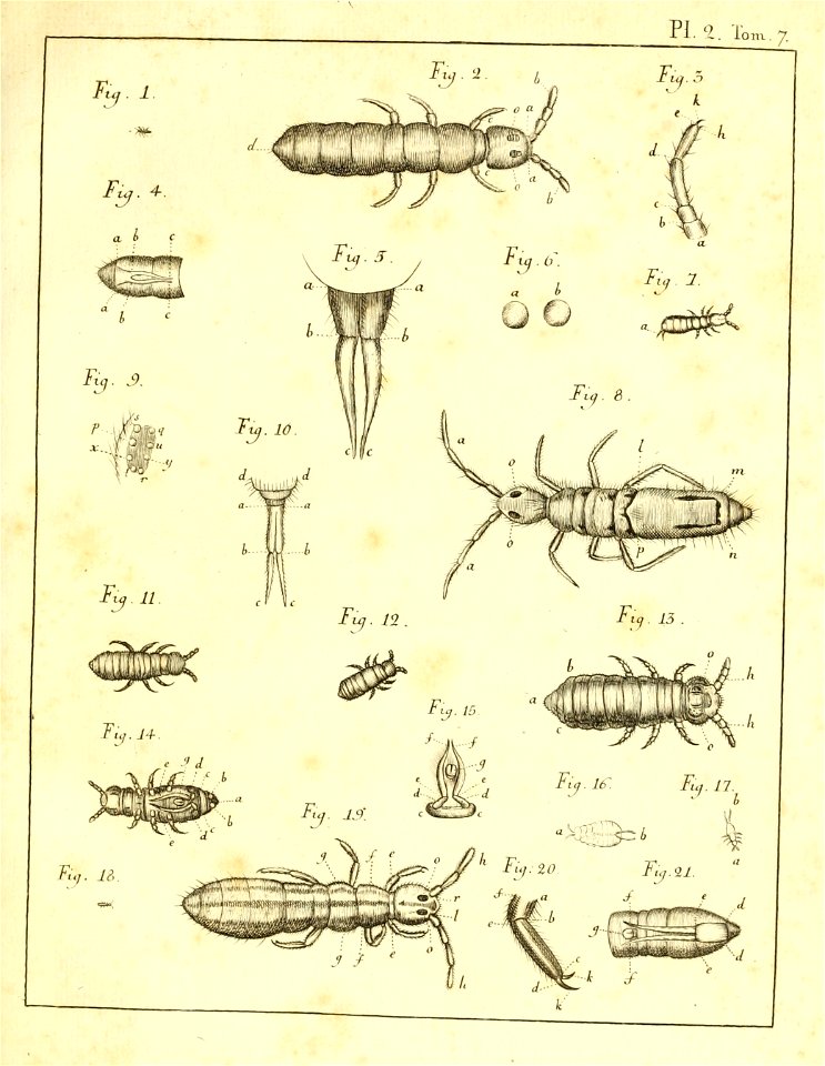 n972_w1150