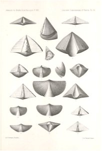 n308_w1150