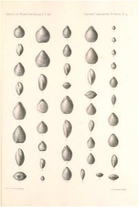 n194_w1150