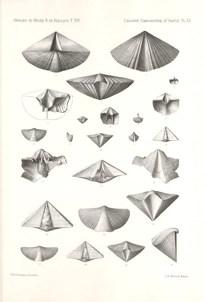 n306_w1150