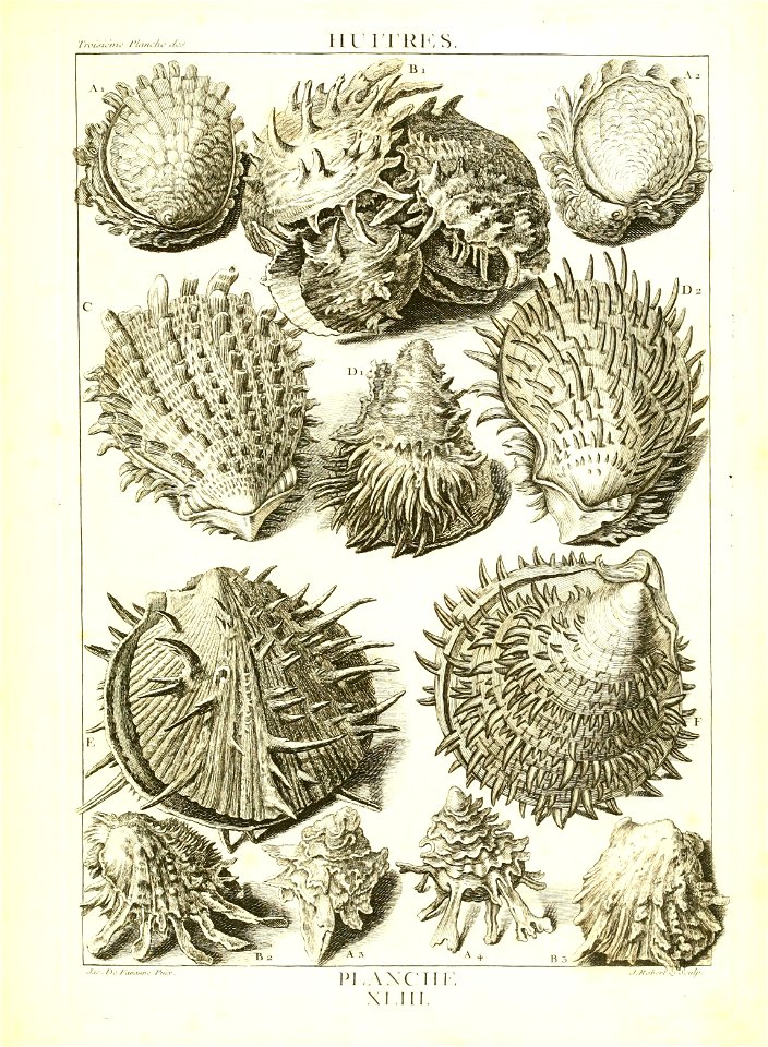 n186_w1150