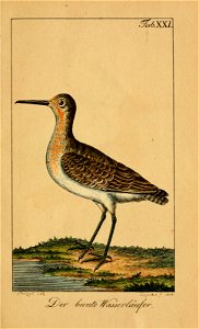 n592_w1150