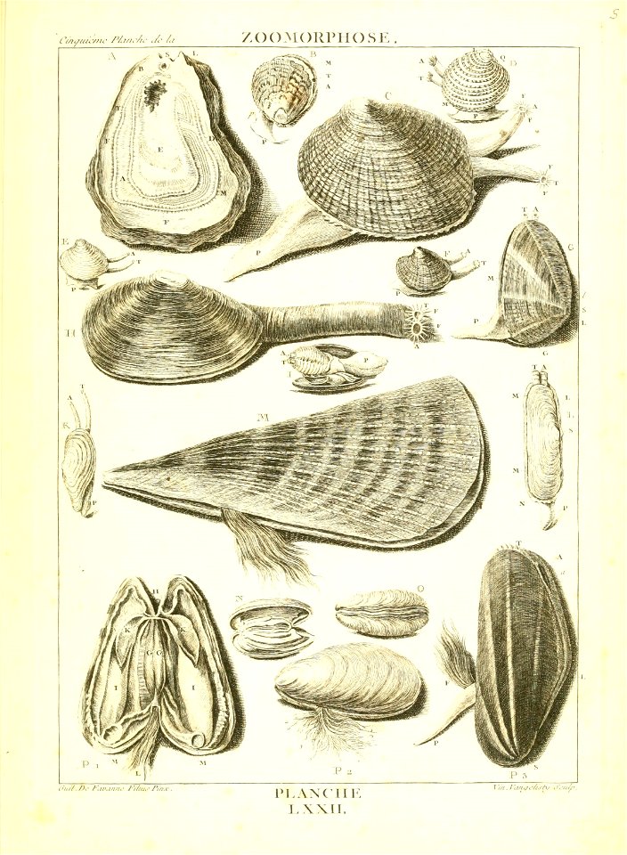 n302_w1150