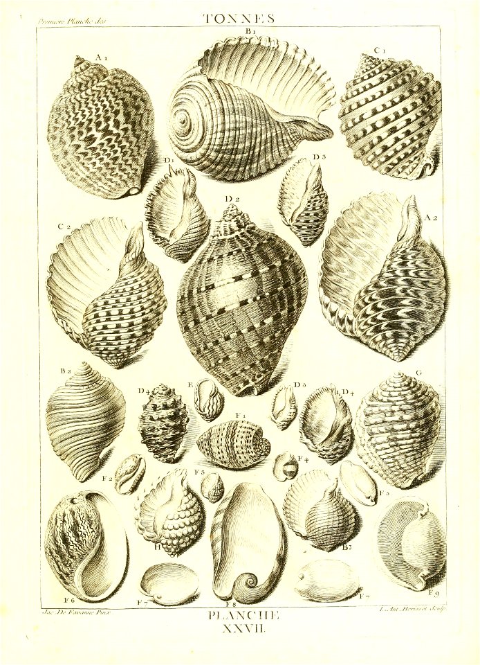 n120_w1150