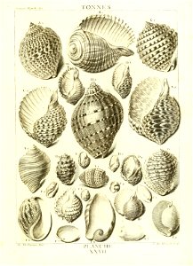 n120_w1150