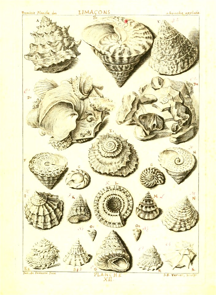 n58_w1150