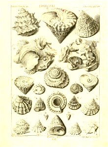 n58_w1150