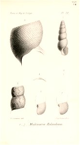 n532_w1150