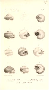 n502_w1150