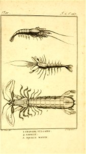 n826_w1150