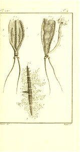 n462_w1150