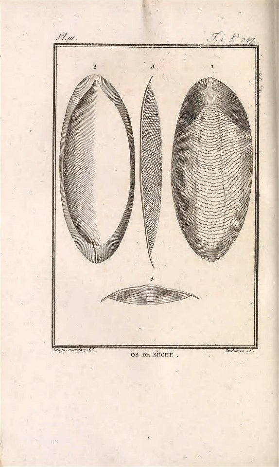 n253_w1150
