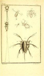 n892_w1150