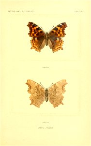 n176_w1150