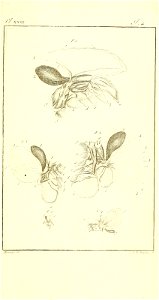 n458_w1150