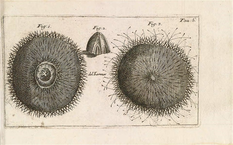 n252_w1150