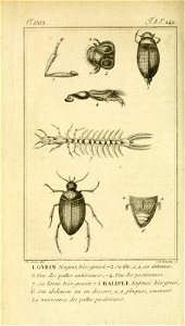 n595_w1150