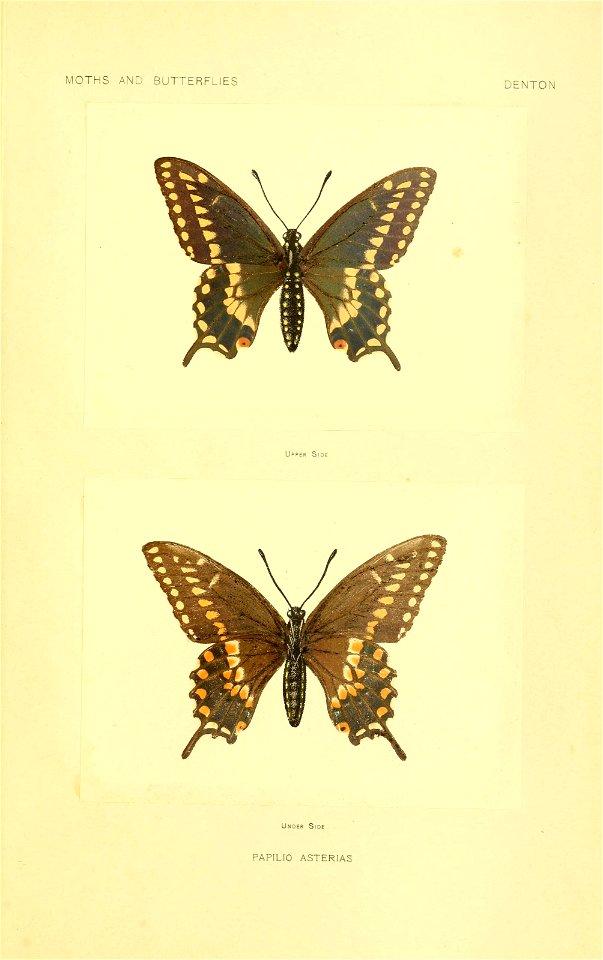 n288_w1150