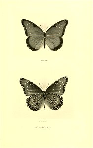 n218_w1150