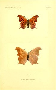 n164_w1150